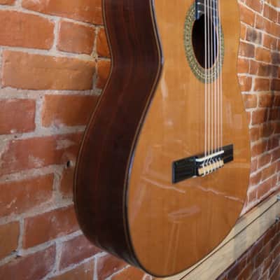 Antonio Sanchez Profesor-1 CD Cedar/Rosewood image 2