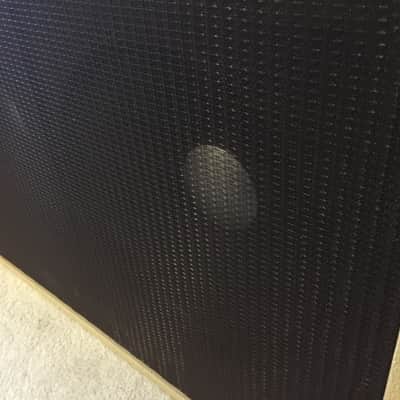 Eddie Bertrand's Gomez Surfer Amp and 2x15 Cabinet, Fender Showman 6G14A clone image 9