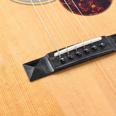 Eastman E20P Thermo Cured 12 Fret image 7