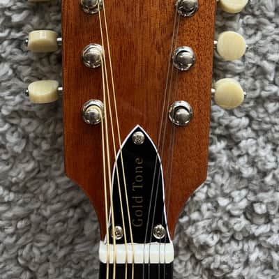 Mint Gold Tone GM-10 Frypan Acoustic Bluegrass Mandolin with Hard Case image 3