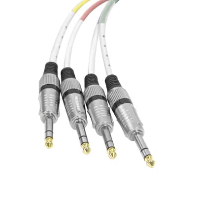 Seismic Audio 4 Channel 1/4" TRS to XLR Snake Cable - 10 Feet Pro Audio Patch Bild 3