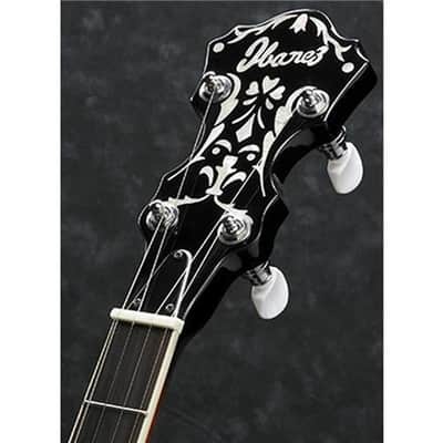 Ibanez B300 5-String Banjo, 22 Frets, Mahogany Neck, Rosewood Fretboard, Abalone Resonator Binding image 8