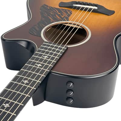 Taylor Builder's Edition 314ce LTD 50th Anniversary Grand Auditorium Kona Burst Top (Used) image 8