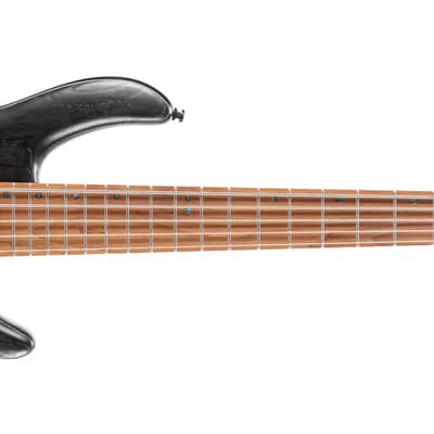 Cort B5ELEMENTOPTB Artisan Series Mahogany Body Ash Top 5pcs Walnut & Panga Panga 5-String Bass Guitar image 4