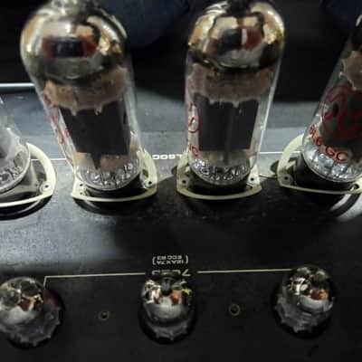 1984 Peavey Rock Master Vintage Tube Series 120-Watt Guitar Head image 8