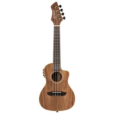 Ortega RUWN-CE Horizon Series Walnut Top Okoume Neck Concert Acoustic-Electric Ukulele w/Gig Bag image 4