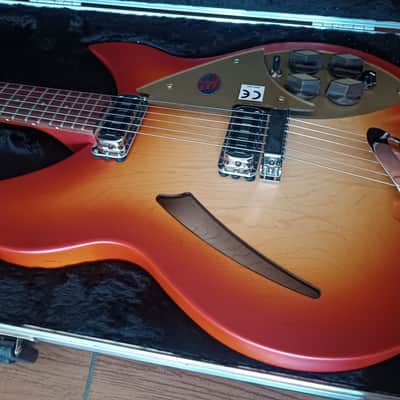 Rickenbacker 330 Limited Edition Collector image 6