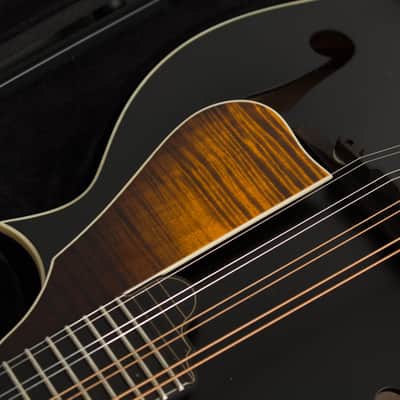 Northfield  NFS-F5 Carved Top Mandolin (2026), ser. #S2601578, original molded black hard shell case. image 14