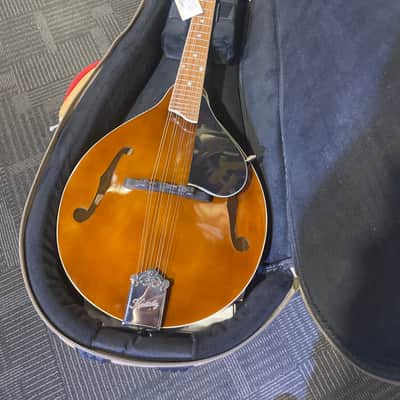 *USED* Kentucky KM-256 Mandolin with Case image 5