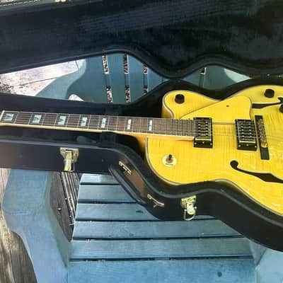 Devlin DVE 9 ~ Jazz Box ~ Hard Case image 12