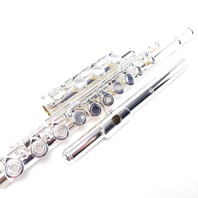 Di Zhao DZ 701 Flute Open Hole B Foot Split E Sterling Silver Pre-Pro NEW image 4