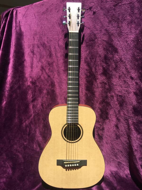 2012 Martin LXM image 1