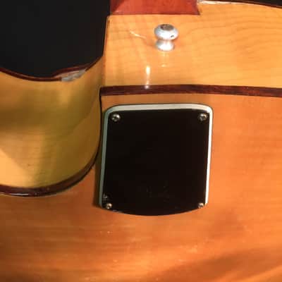 Nardan Model 100 MIJ 1950's/60's Archtop Spruce top Maple back & sides image 9