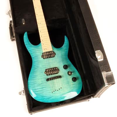 Douglas EGC-200 EXP Baritone Black Electric Guitar Case image 3