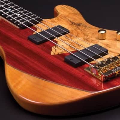Cort RITHIMICNAT Jeff Berlin Signature Series Alder Body Rithimic 4-String Electric Bass Guitar image 2