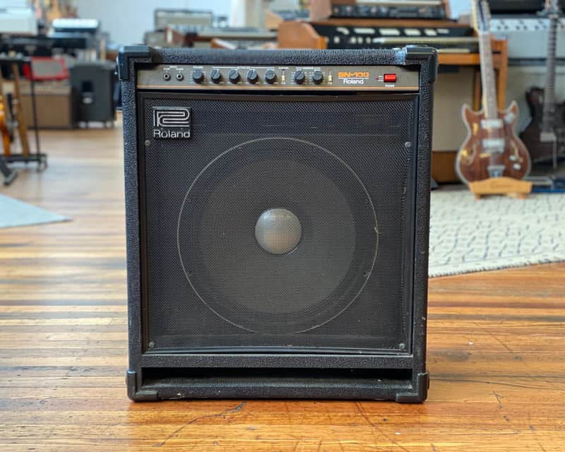 Roland BN-100 | Reverb