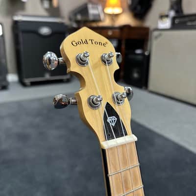 Gold Tone Little Gem Acrylic Concert Banjolele w/gigbag image 5