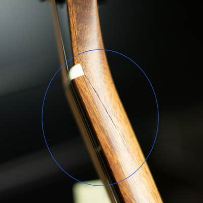 Washburn Comfort G55CE Koa image 16