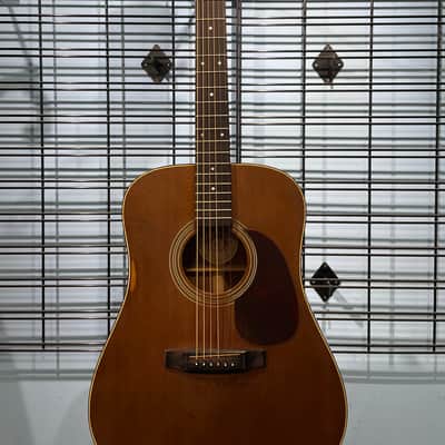 Vintage Vega V-244 Acoustic Mid-70's image 1