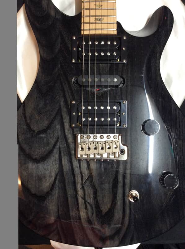 PRS SE Swamp Ash Special 2023 - Present - Charcoal image 1