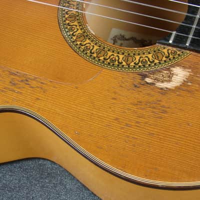 Ventura Bruno Royal Artist Model 1600F Flamenco Acoustic Guitar W/Case image 8