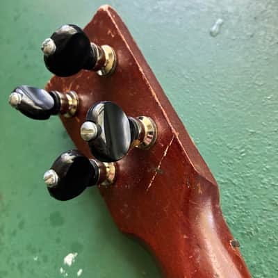 Stella  Banjolele 1920's Soprano Nylon Player! image 11