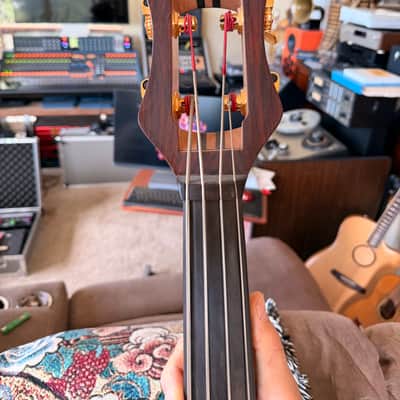 Alembic Classico 2012 Coco Bolo image 10