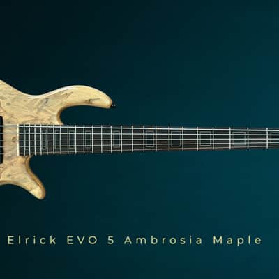 Elrick Basses EVO Gold 5 - Ambrosia Maple 2024 - Satin image 2