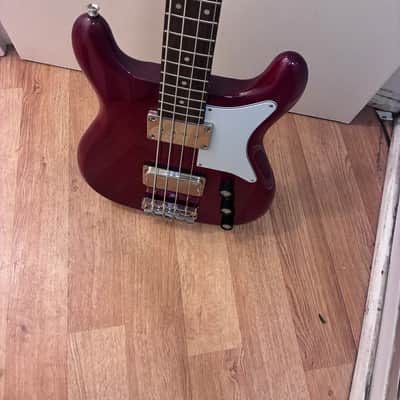 Epiphone Newport Bass 2023 - Present image 3