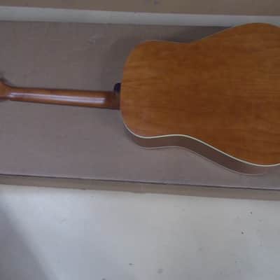 Seagull Entourage Rustic Dreadnought Acoustic Guitar Player!! image 11