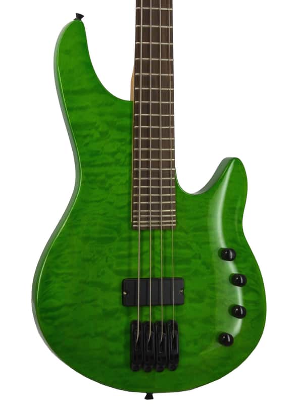 Fishbone Model FBD-04-G 4 string Bass Guitar- Awesome bass Guitar image 1