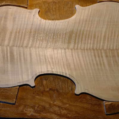 Fine Italian Violin 4/4 by Matteo Mazzotti Italy 2026 image 16