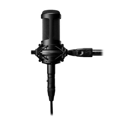 Audio-Technica AT2050 Large Diaphragm Multipattern Condenser Microphone - Black image 2