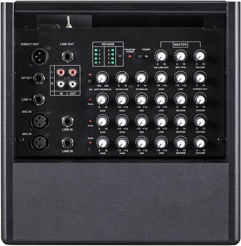 ProDipe Natural 6 Acoustic Guitar Amp With Mixer For Acoustic Gigs Rehearsals Brand New Incl. Bag image 1