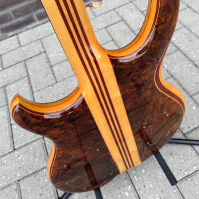 Alembic Custom EvH Signature Series II Superfilter image 11