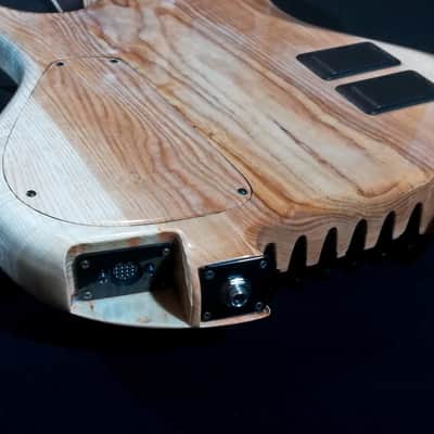 Handcrafted 6 string Snake Olympia by Gamma Guitars image 15