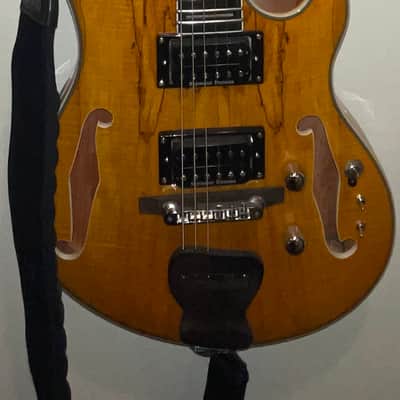 Starshine Semi-Hollow Languedoc Guitar Clone (2022) image 2