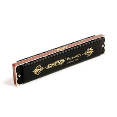 24holes Professional Harmonica Key of D# image 2