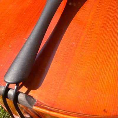 Westbury Eastman cello 4/4 - Hand varnish image 5