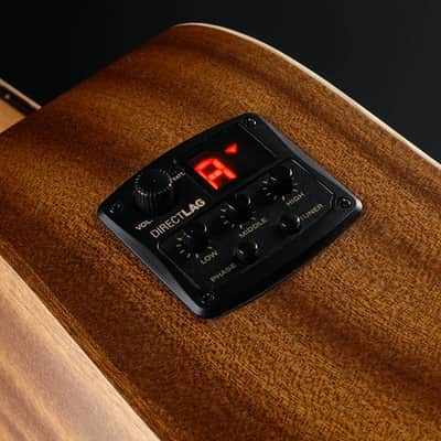 Lag Tramontane 70 Dreadnought, Pickup image 4