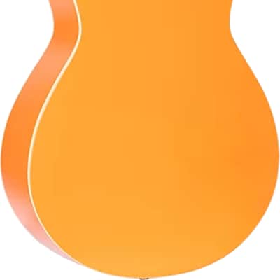 Ortega RGA Gaucho Series Parlor Classical Guitar, Agathis Top, Orange image 3