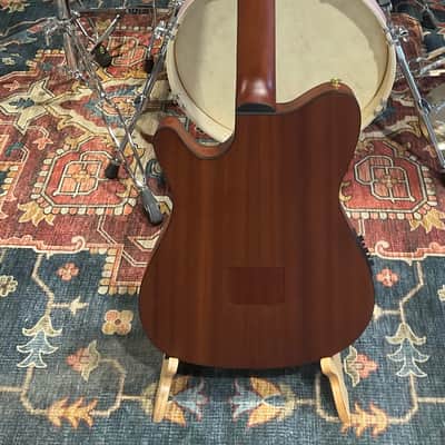 Ibanez FRH10NBSF Thinline Nylon Acoustic-Electric Guitar (Brown Sunburst) image 12