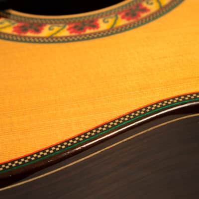José Ramírez Guitarra del Tiempo Cedar Top & Neck 6-String Classical Acoustic Guitar w/Hard Case image 4