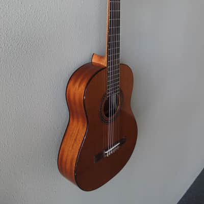 Brand New Cordoba Iberia Series Requinto Nylon String Classical Guitar - B Stock image 3