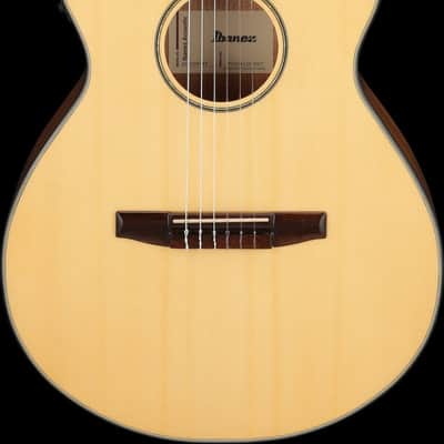 Ibanez AEG50N-NT AEG Nylon String Guitar 6-String - Natural image 15