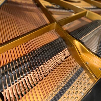 Schimmel Parlor Grand Piano 1970 - Ebony Satin image 10
