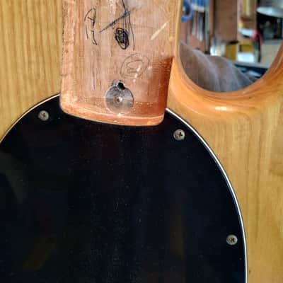 Music Man StingRay with Maple Fretboard 1978 - Natural image 2