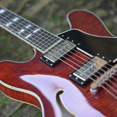 Eastman T486B - Classic image 10