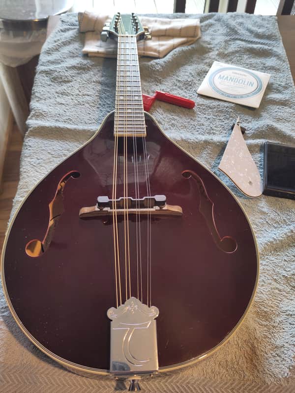 Tanglewood TWM-T-WR Union Mandolin - red image 1