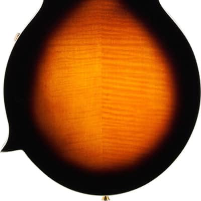 Ibanez M522S F-Style Mandolin, Solid Spruce Top, Brown Sunburst image 3